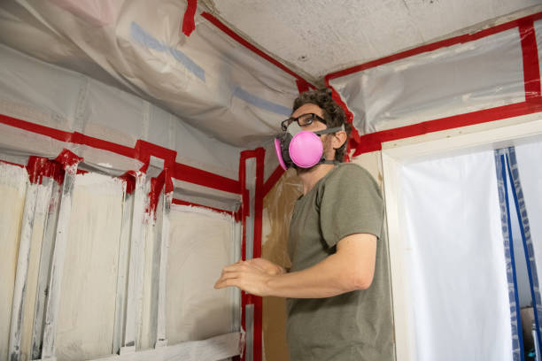 Best Biohazard Mold Removal  in USA